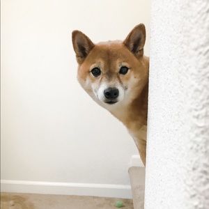 Meet your Posher, Rich